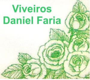 Viveiros Daniel Faria
